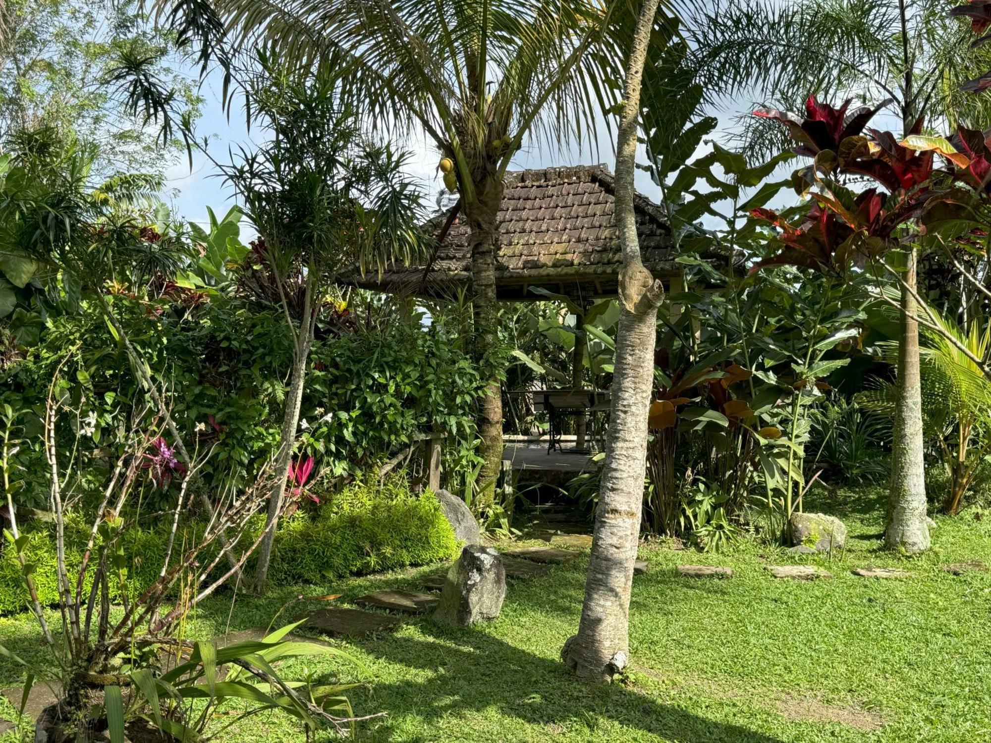 Dewa Jati Cottages Payangan Exterior foto