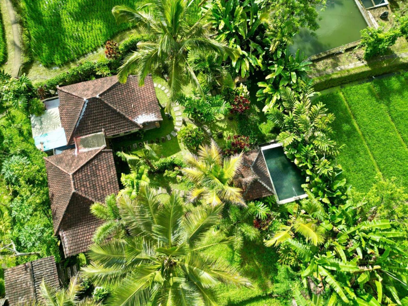 Dewa Jati Cottages Payangan Exterior foto