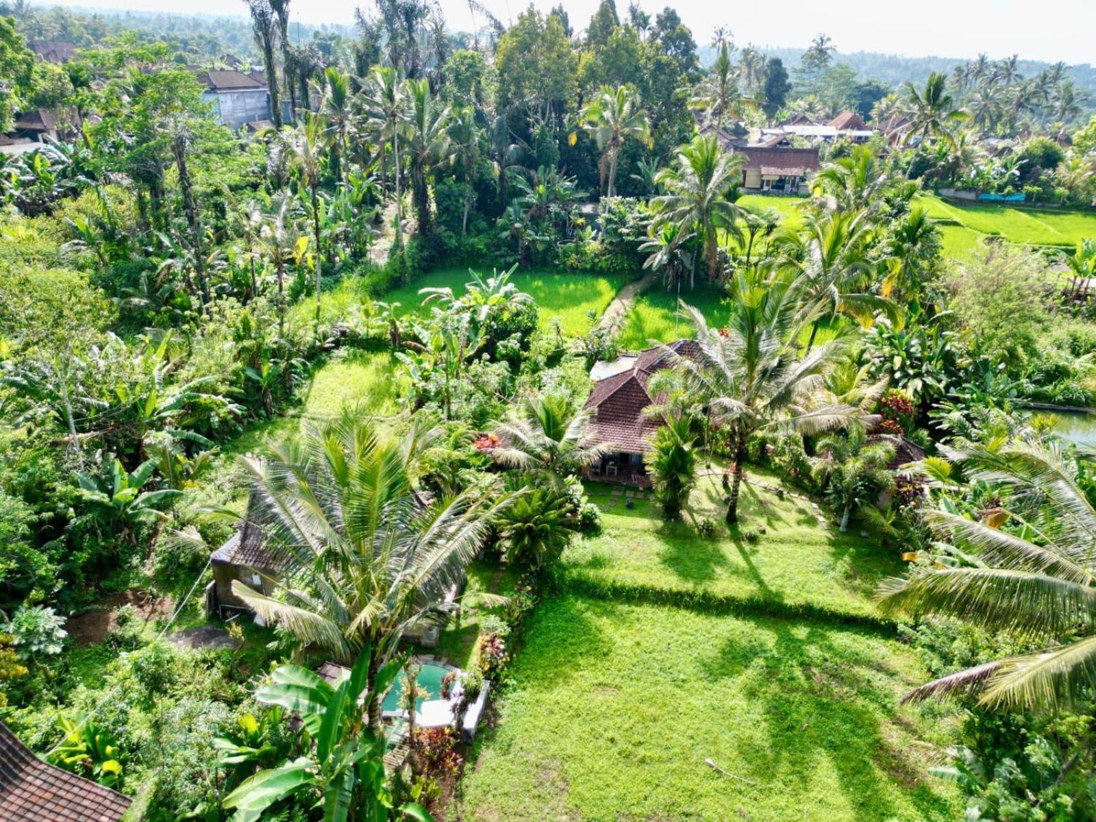 Dewa Jati Cottages Payangan Exterior foto