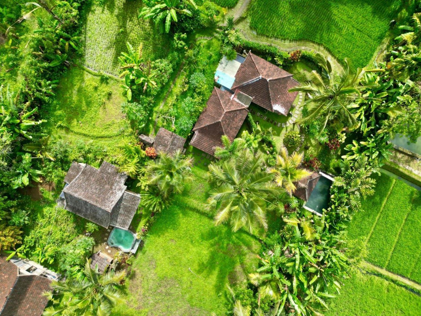 Dewa Jati Cottages Payangan Exterior foto
